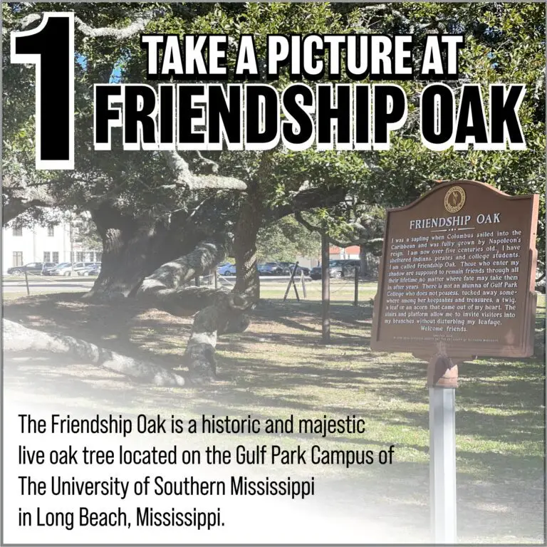 Image of the Friendship Oak tree with a sign detailing its historical significance, part of a scavenger hunt event promoting local landmarks in Long Beach, Mississippi.